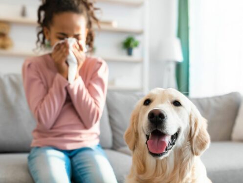 Allergies due to poor indoor air quality